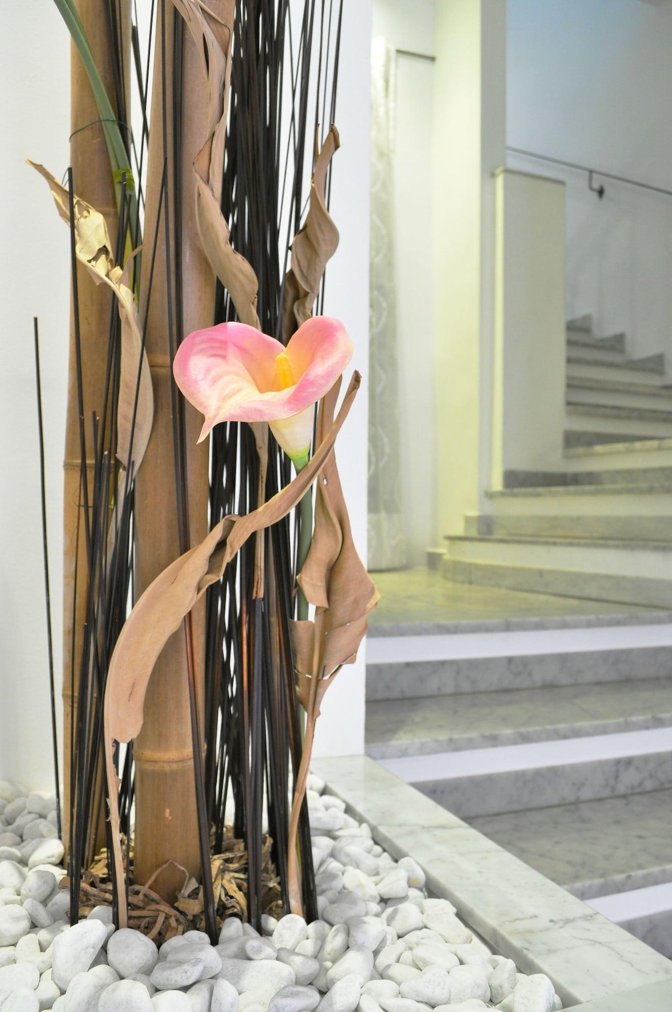 Varios Hotel Nuovo Nord