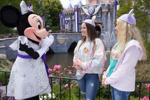 Actividad - Entradas a Parques Temáticos Disney California