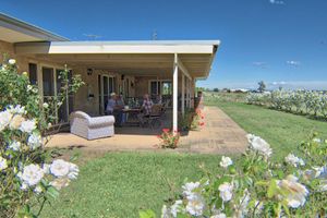 Alojamiento - Bluebush Estate