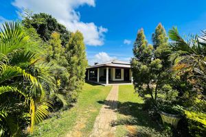 Alojamiento - Yala Treetop Lake