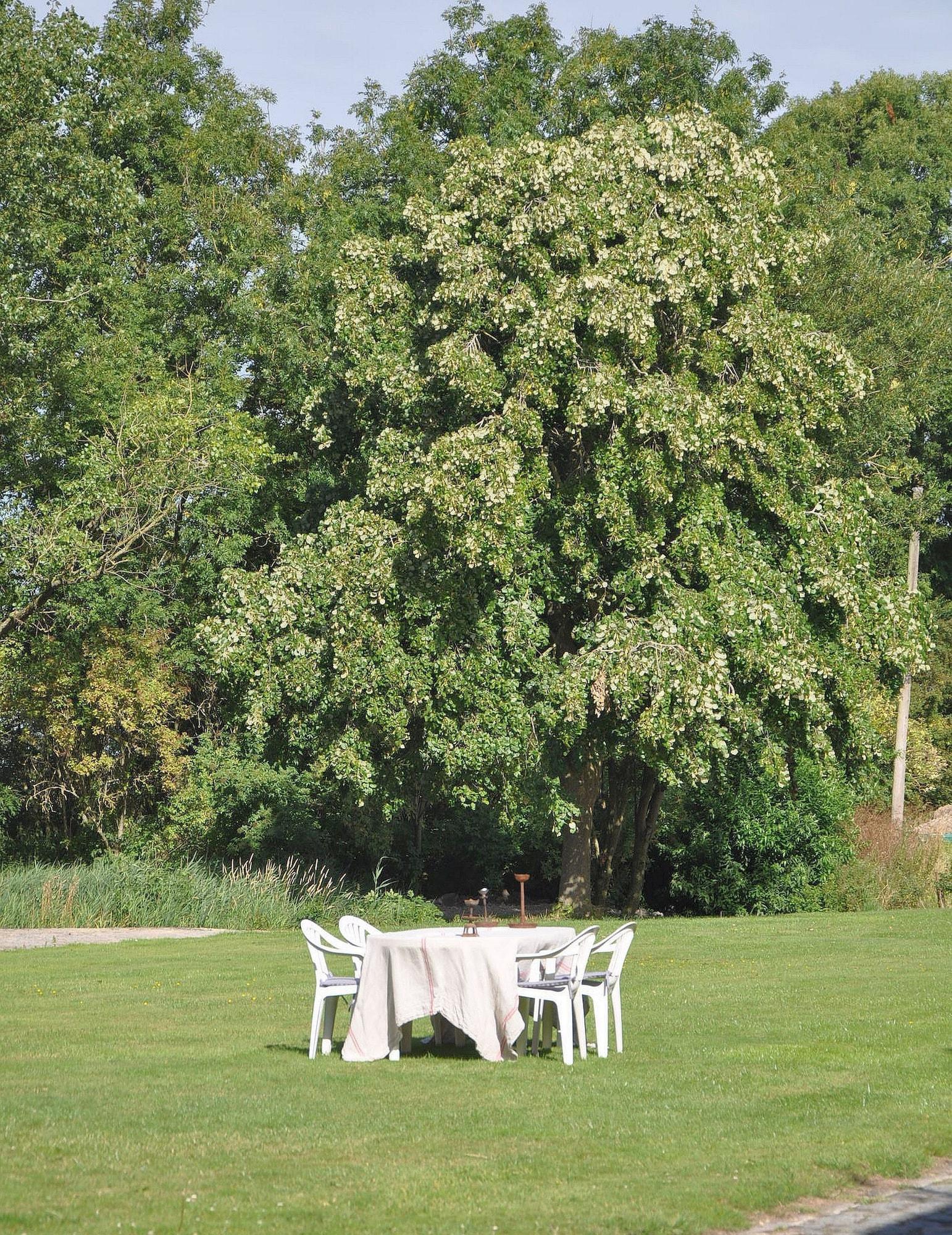 Comodidades del Alojamiento Groot Noordhof