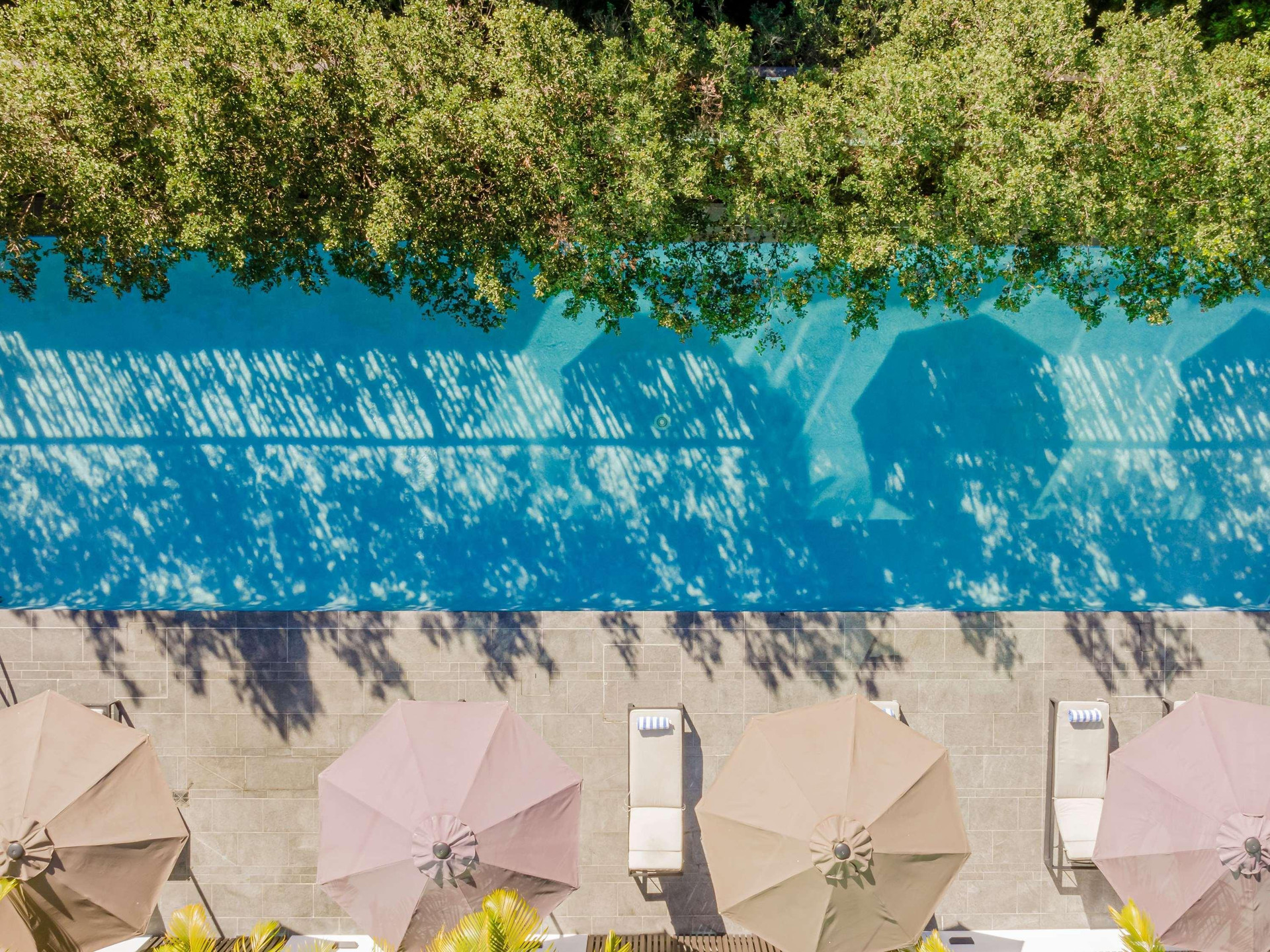Vista Piscina Novotel Brisbane South Bank Hotel