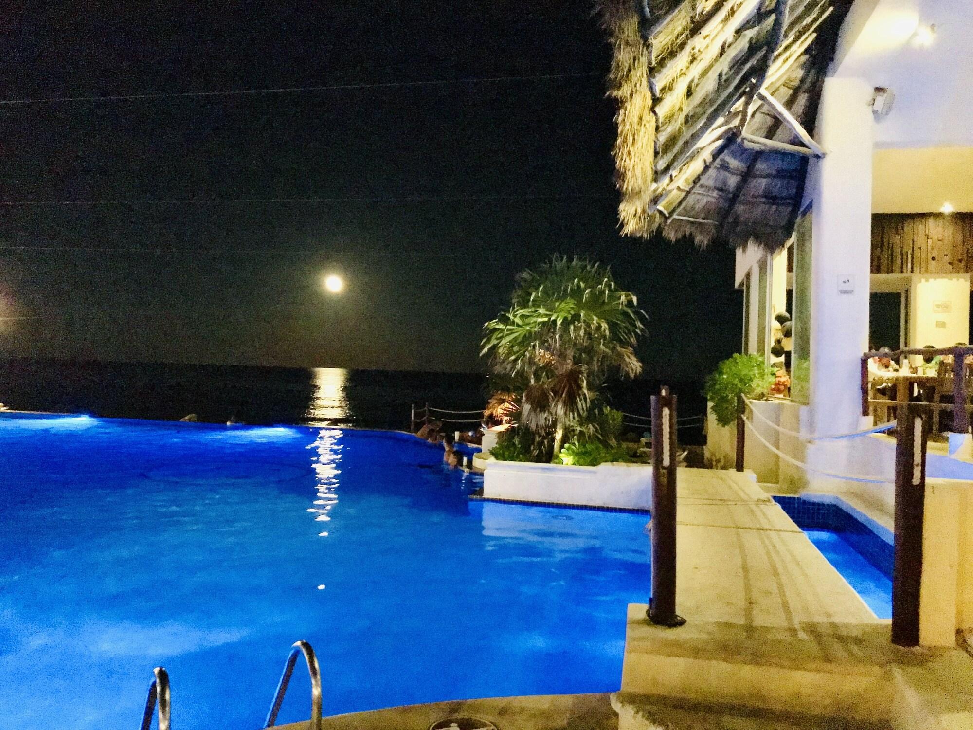 Restaurant Ocean View Apartments – Delicia