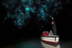 Actividad - Excursión de un día completo a Waitomo y Hobbiton