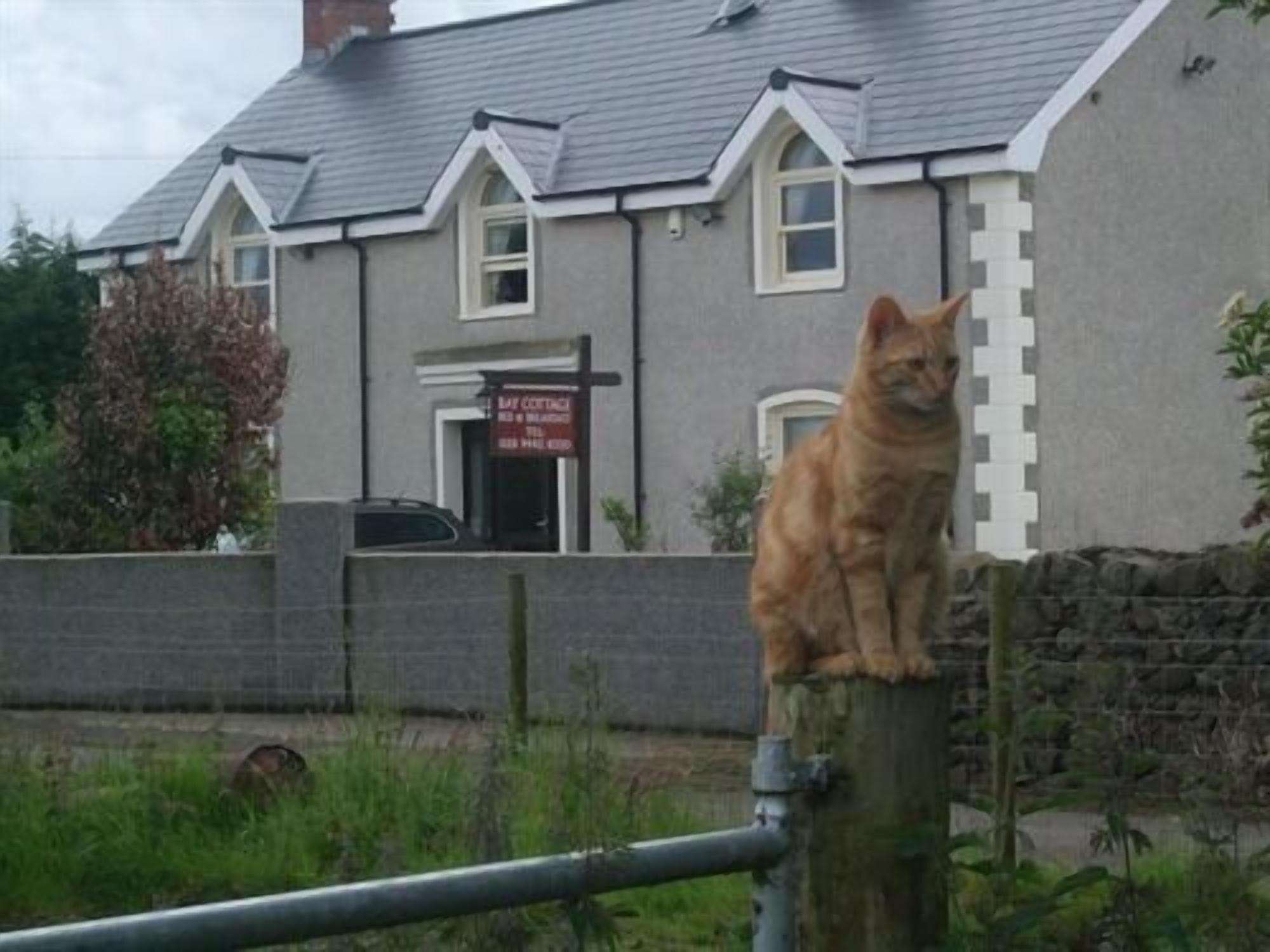 Varios Bay Cottage B&B