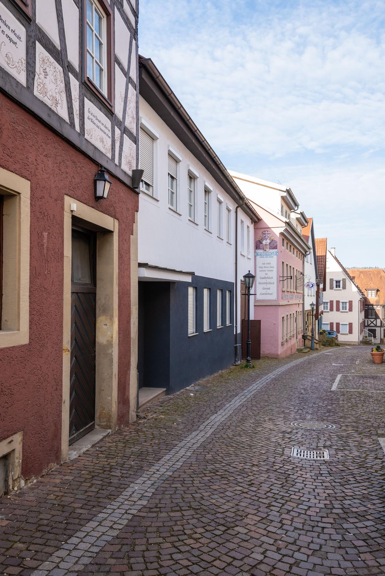 Vista Exterior FeWo Gundelsheim
