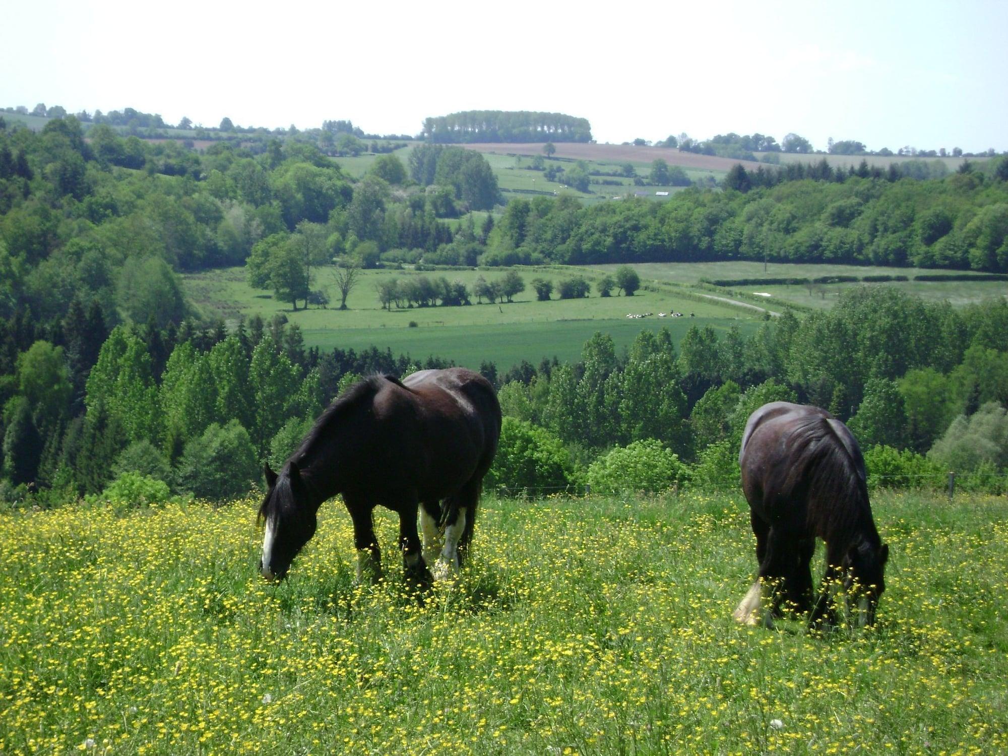 Comodidades del Alojamiento Les Jardins de Beauve