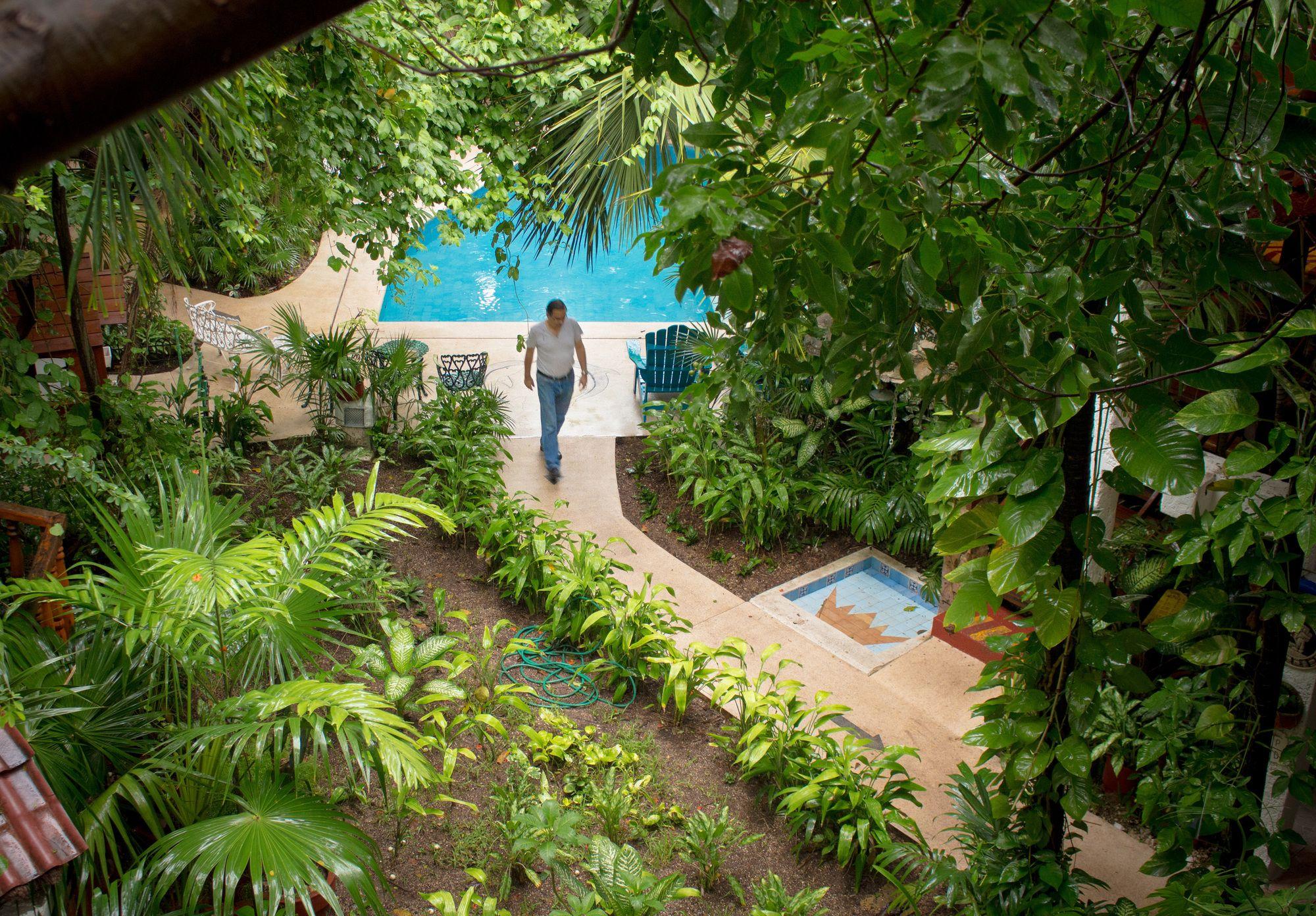 Vista Piscina Eco-Hotel El Rey del Caribe