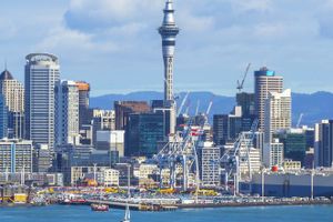 Actividad - Tour de Auckland al completo