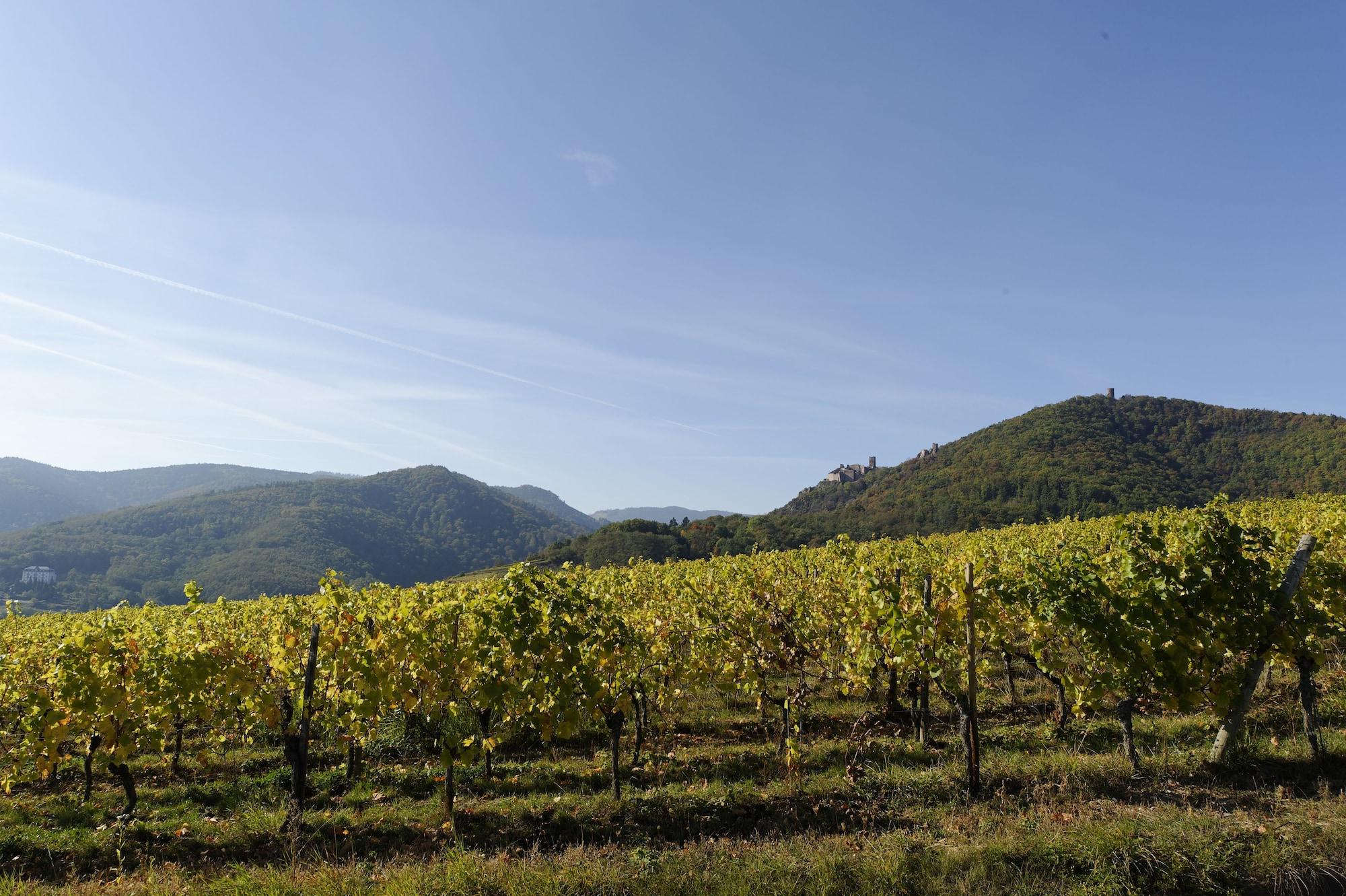 Vista Exterior Le Clos Saint Vincent