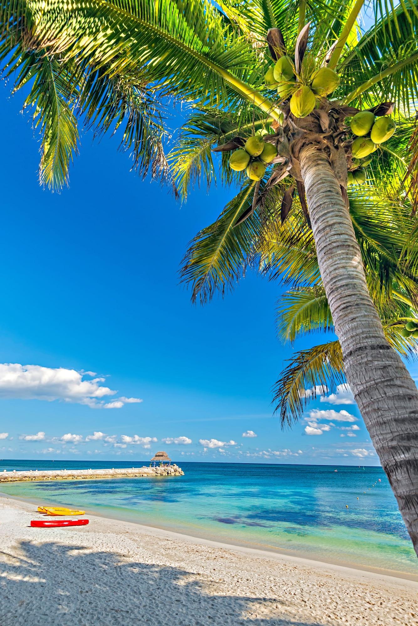 Hotel Hotel Marina El Cid Spa & Beach Resort