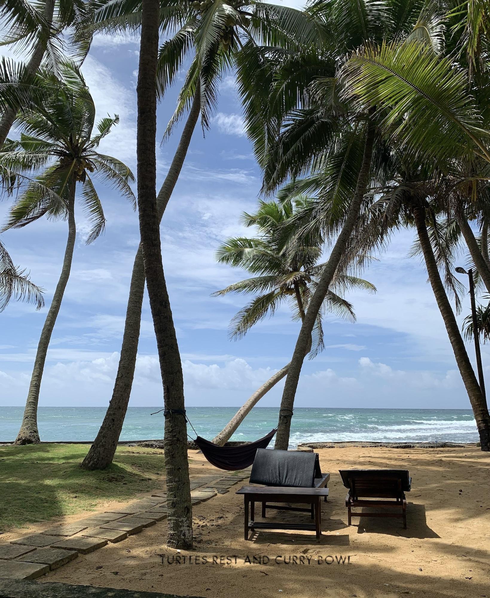 Vista Exterior Turtles Rest and Curry Bowl