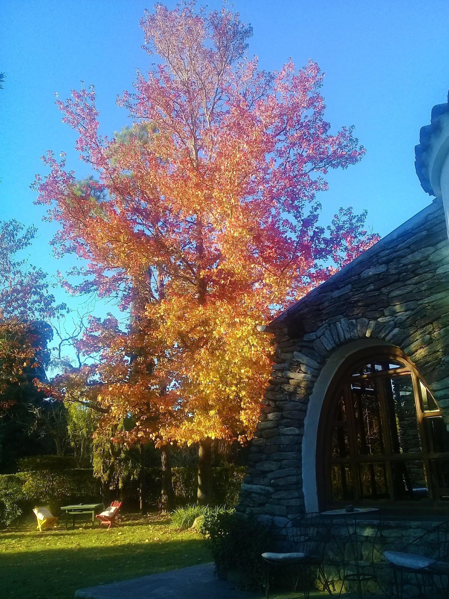 Varios B&B Villa Giardino