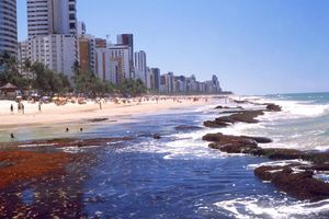 Actividad - Traslados desde y hacia el aeropuerto + Tour por las ciudades de Olinda y Recife Antigo