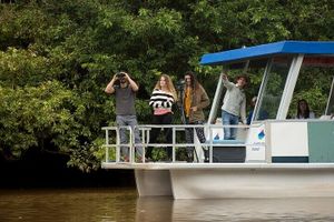 Actividad - Caño Negro &amp; Río Frío Boat Tour from Arenal
