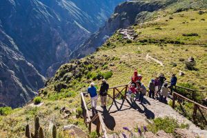 Actividad - Tour Full Day Cañon del Colca con Traslado a Puno