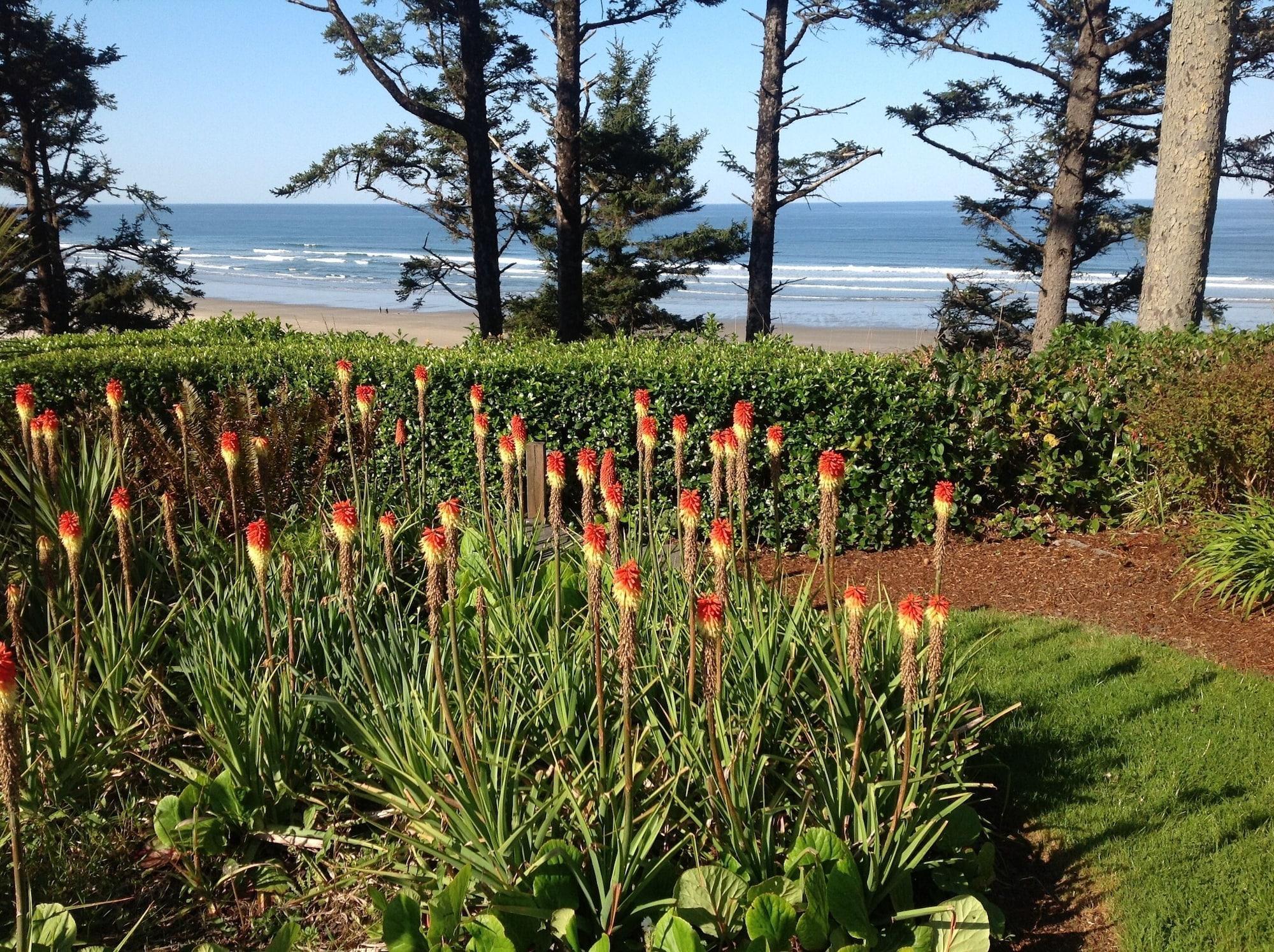 Vista Exterior Tyee Lodge Oceanfront B&B
