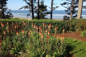 Alojamiento - Tyee Lodge Oceanfront B&B