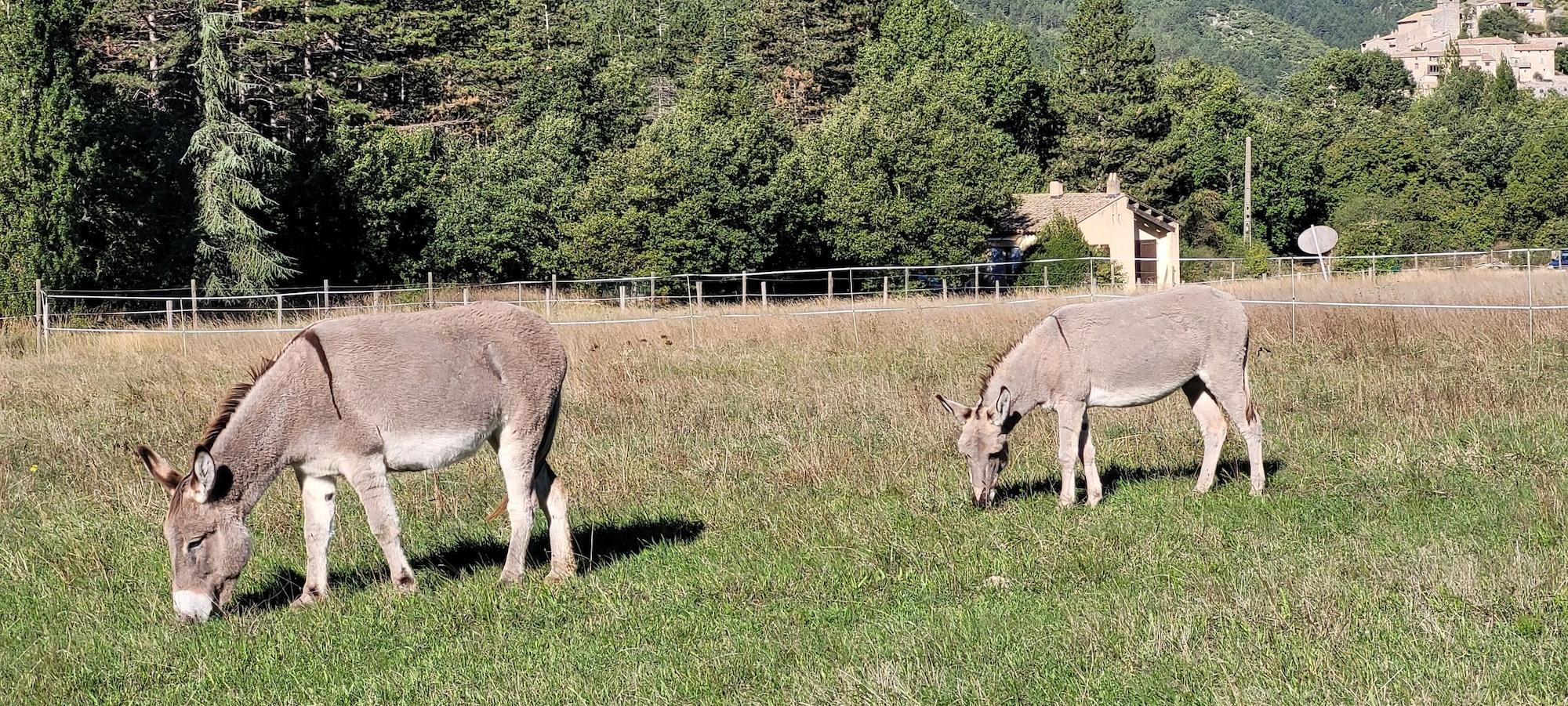 Vista Exterior MAS DE REILHANETTE