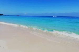 Actividad - Playa Blanca Barú y Islas del Rosario en Lancha