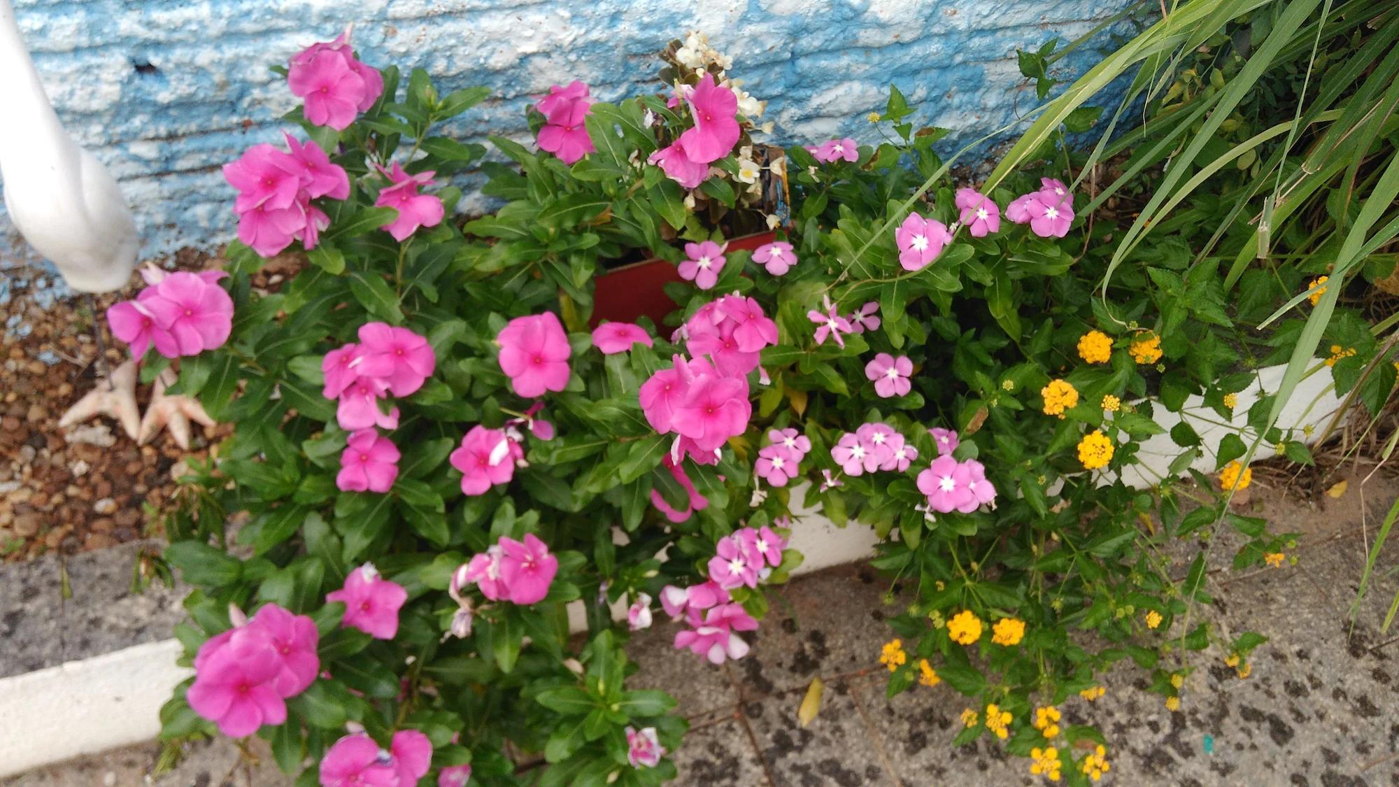 Varios Doce Lar Residencia