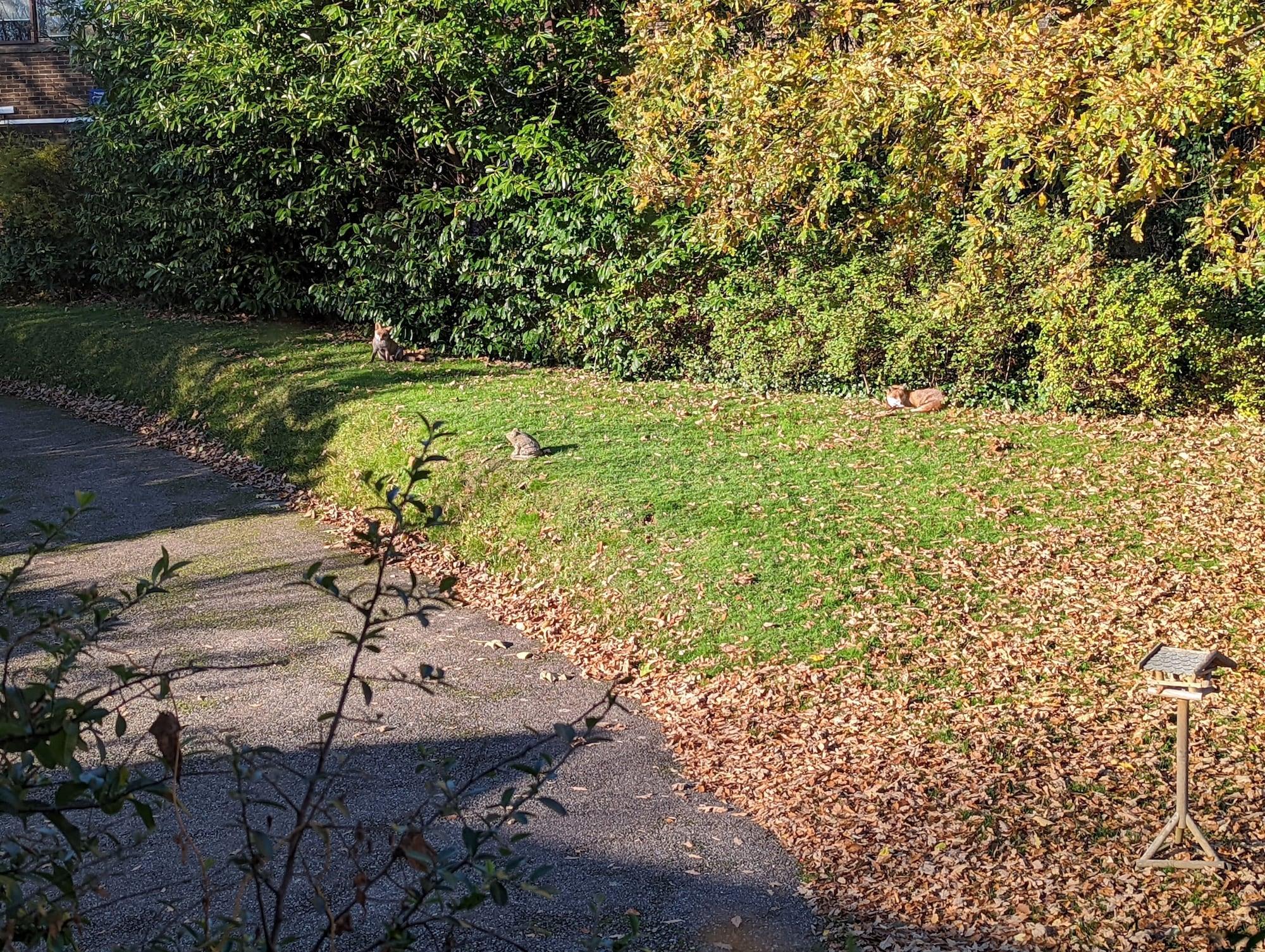 Vista Exterior Summerfields House