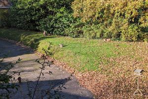 Alojamiento - Summerfields House