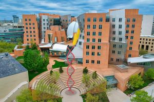 Alojamiento - Holiday Inn Express & Suites Boston - Cambridge by IHG