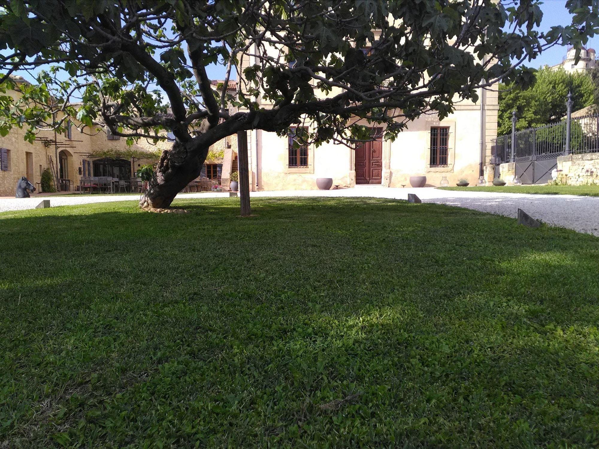 Vista Exterior Domaine Saint Martin