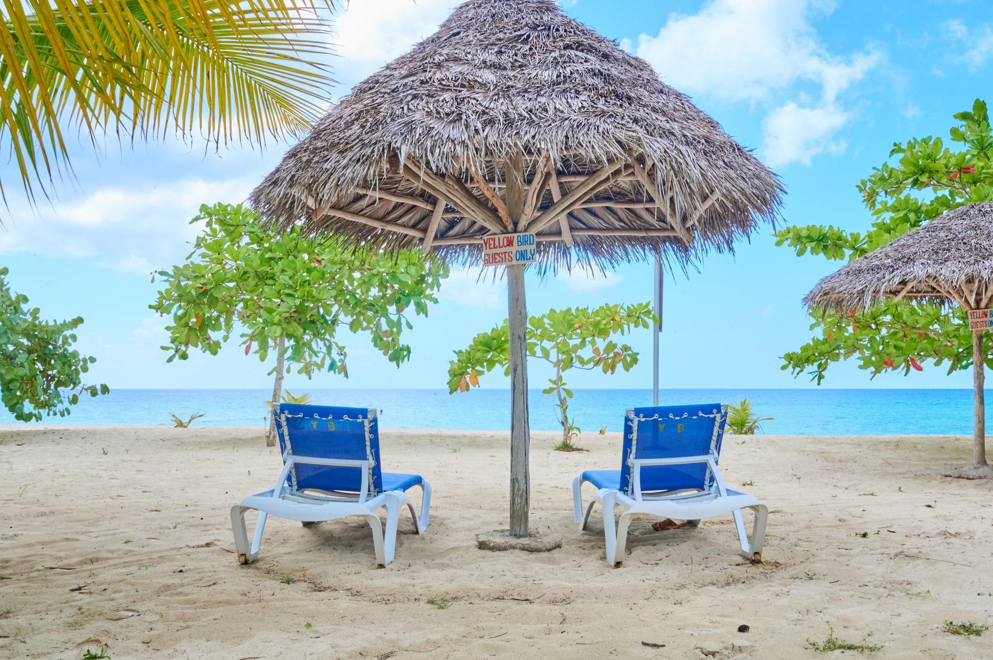 Varios The Yellow Bird