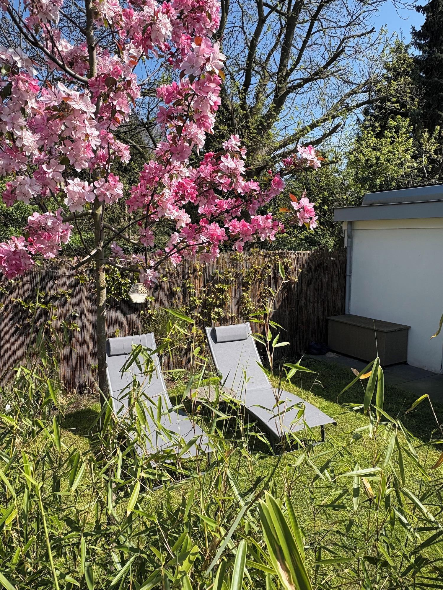 Vista Exterior B&B Wellness Soest