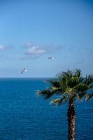 Alojamiento - Excelsior Palace Portofino Coast