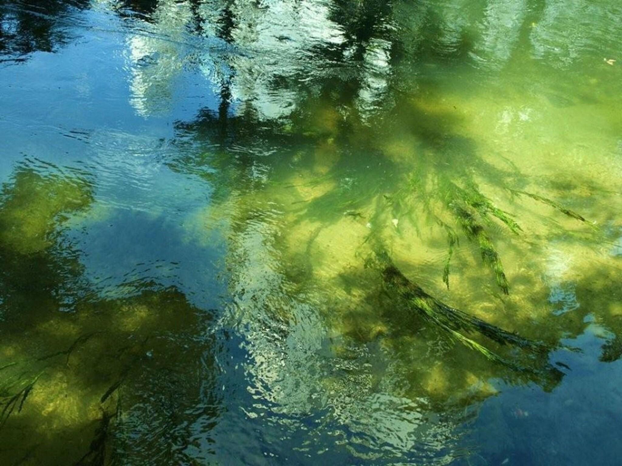 Vista Exterior Okayama Koraku Hotel