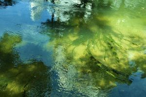 Alojamiento - Okayama Koraku Hotel