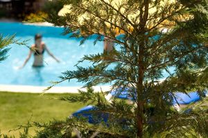 Renta temporal - Beautiful Villa With Swimming Pool