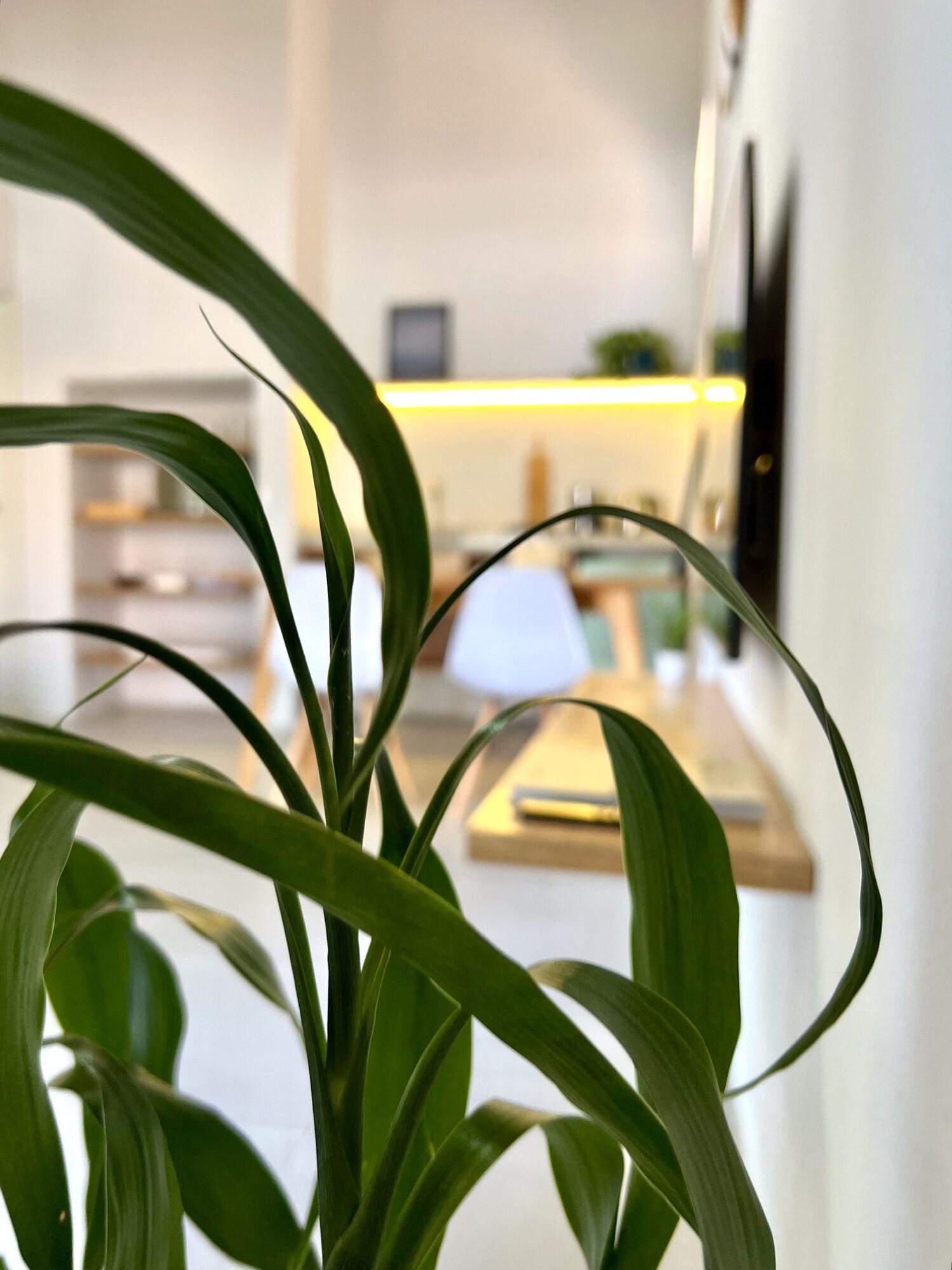 Set de Habitación Vila Carijós