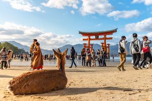 Actividad - Hiroshima, Miyajima, Santuario Itsukushima y ferry