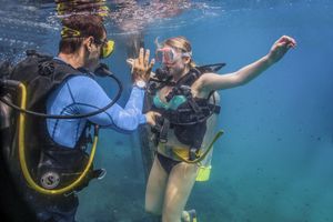 Actividad - Buceo en las Caletas para buzos certificados