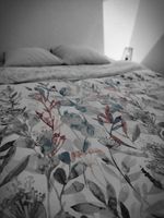 Alquiler Vacacional - Private accommodation in beautiful villa with swimming pool