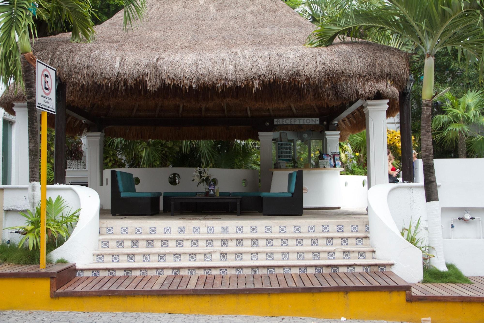 Equipamiento de Habitación Tropical Casablanca Party Zone