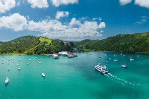 Actividad - Waiheke Walk-up Ferry Service to Waiheke Island from Auckland (Return)