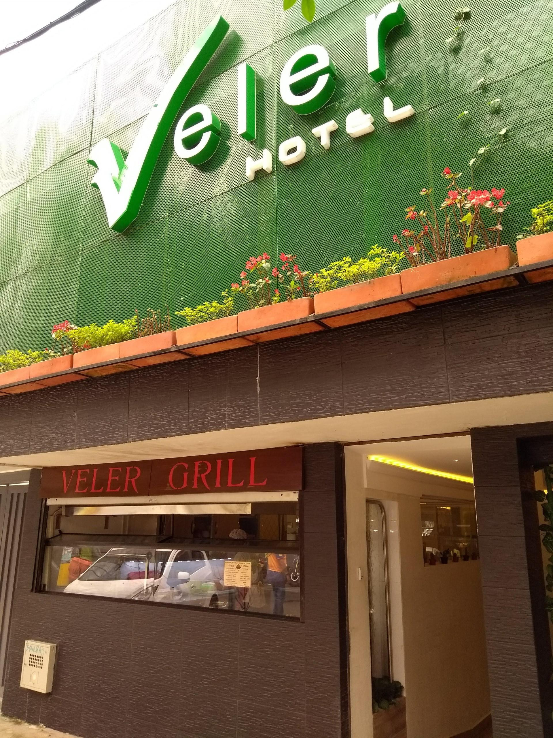 Vista Exterior Hotel Veler