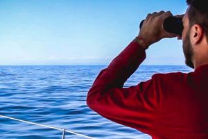Actividad - Avistamiento de delfines y ballenas en Denia