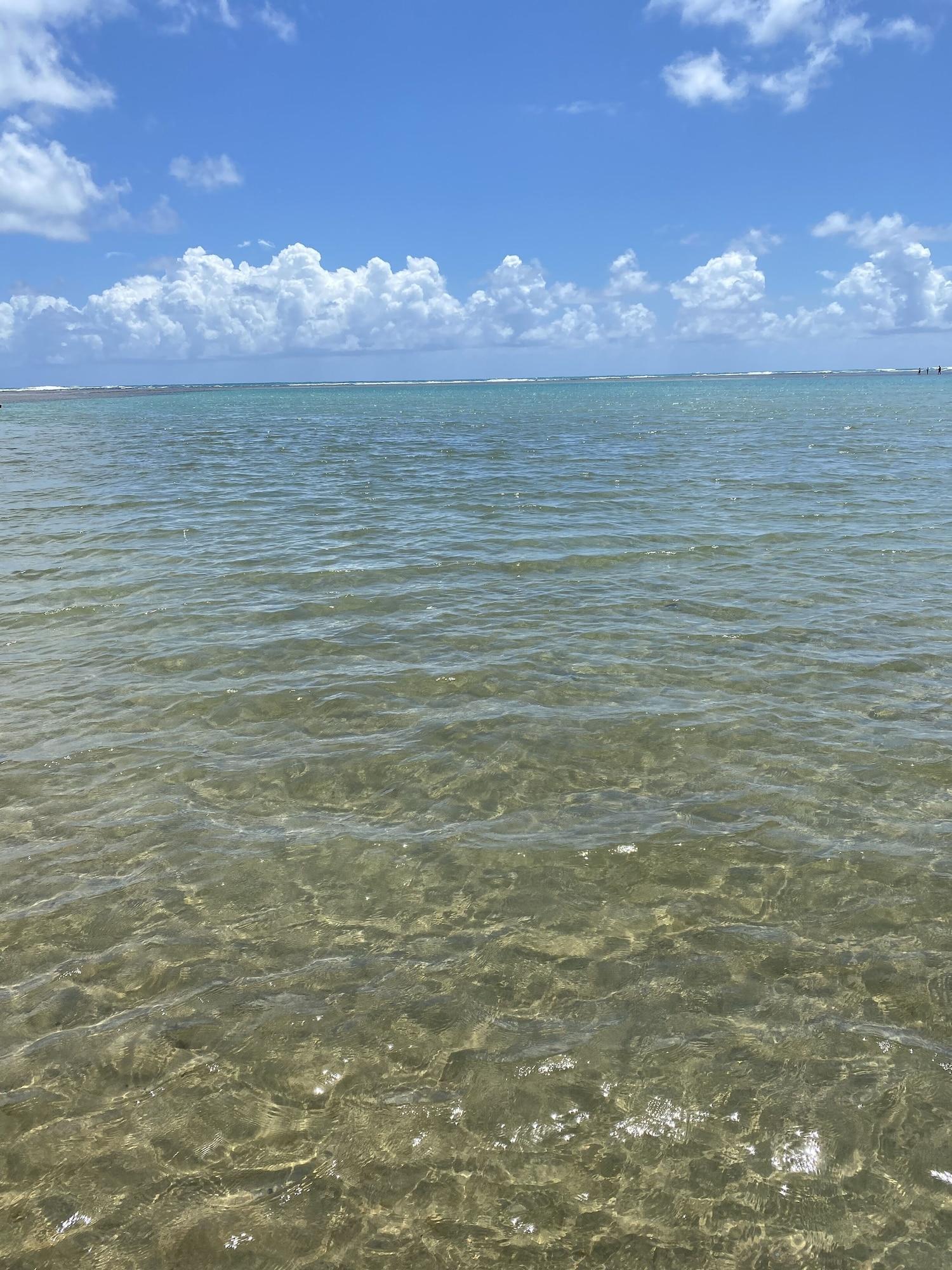 Playa Flatssolemar