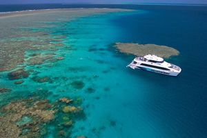 Actividad - Silversonic Outer Barrier Reef Cruise from Port Douglas