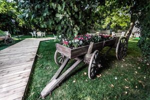 Alojamiento - My Green Boutique Hotel