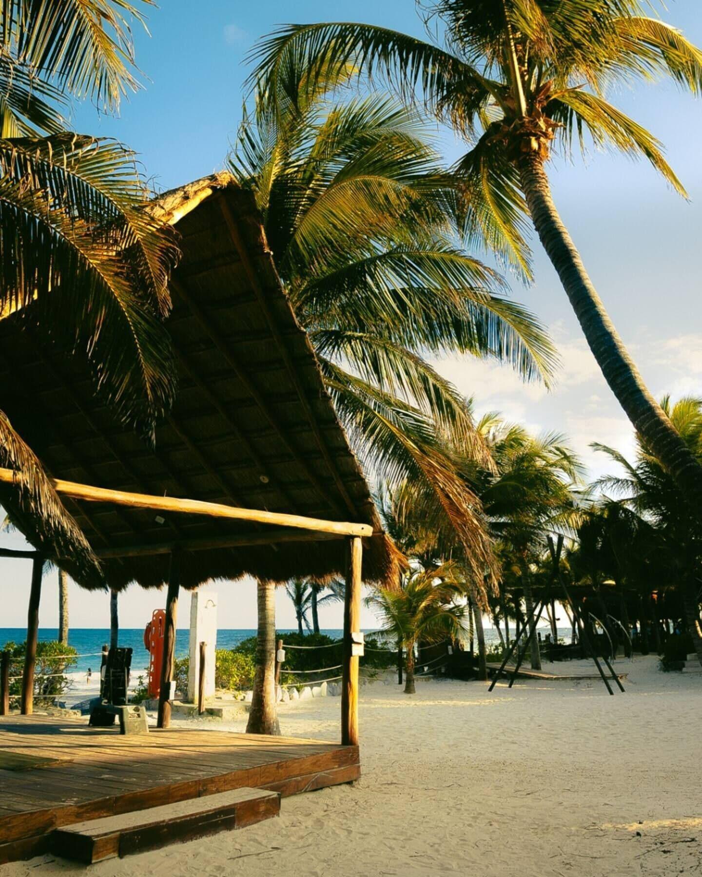 Vista Exterior Mía Tulum Tribe
