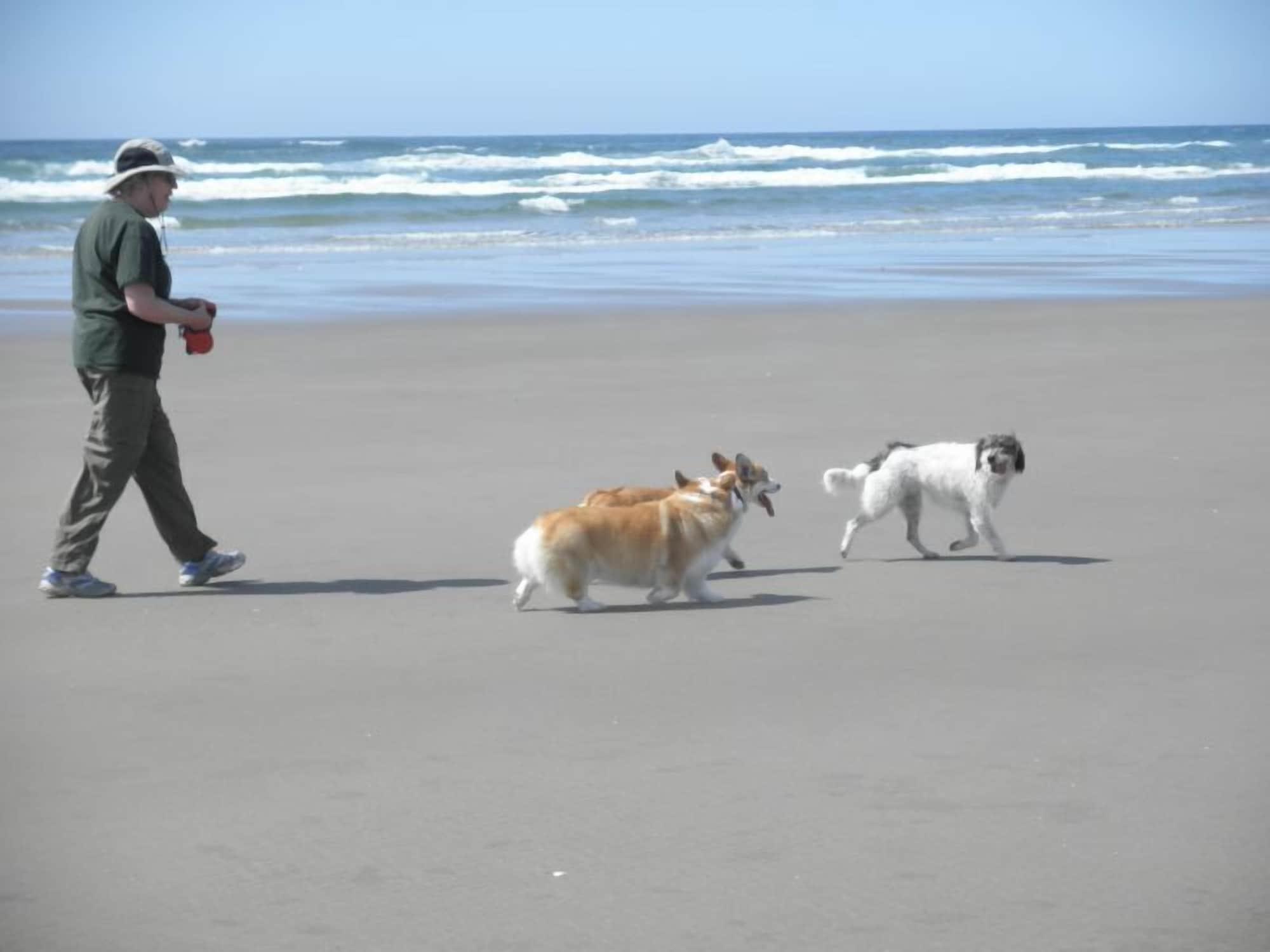 Playa Tillicum Beach Motel (Deane's Oceanfront Lodge)