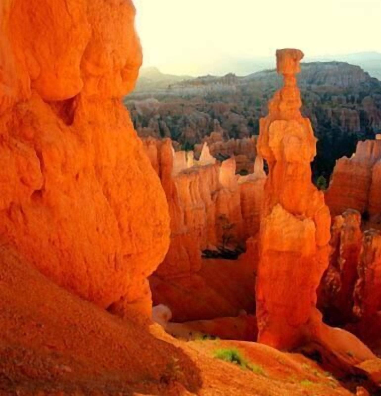 Comodidades del Alojamiento Grand Staircase Inn