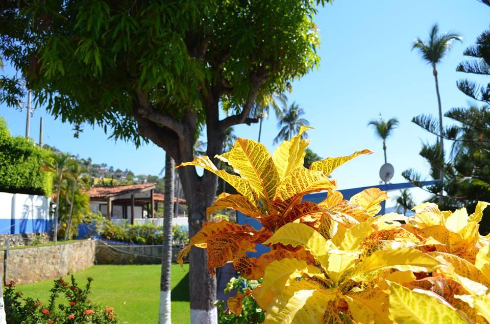 Instalaciones Recreativas Coral Clubes Acapulco